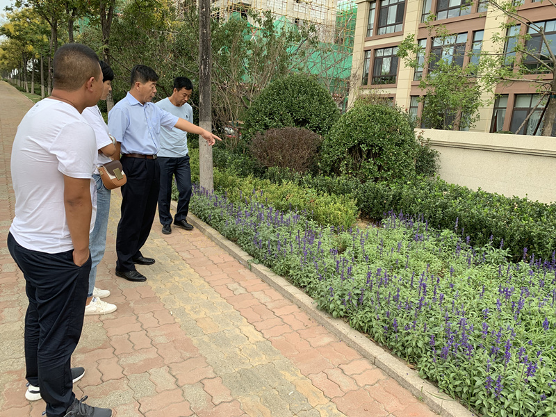 20.園林公司赴威?？疾煲计纺仙巾?xiàng)目.jpg