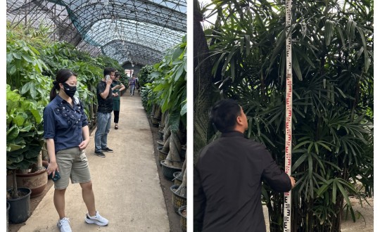 12.園林公司對(duì)綠植市場進(jìn)行考察和調(diào)研_副本.jpg